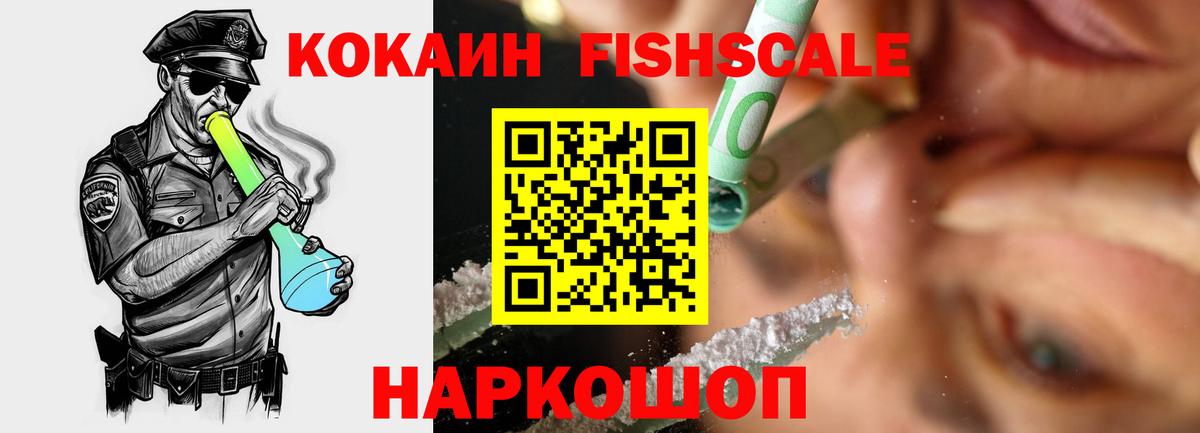 Cocaine Fish Scale  Вход с VPN  Cocaine 99%  Бийск 