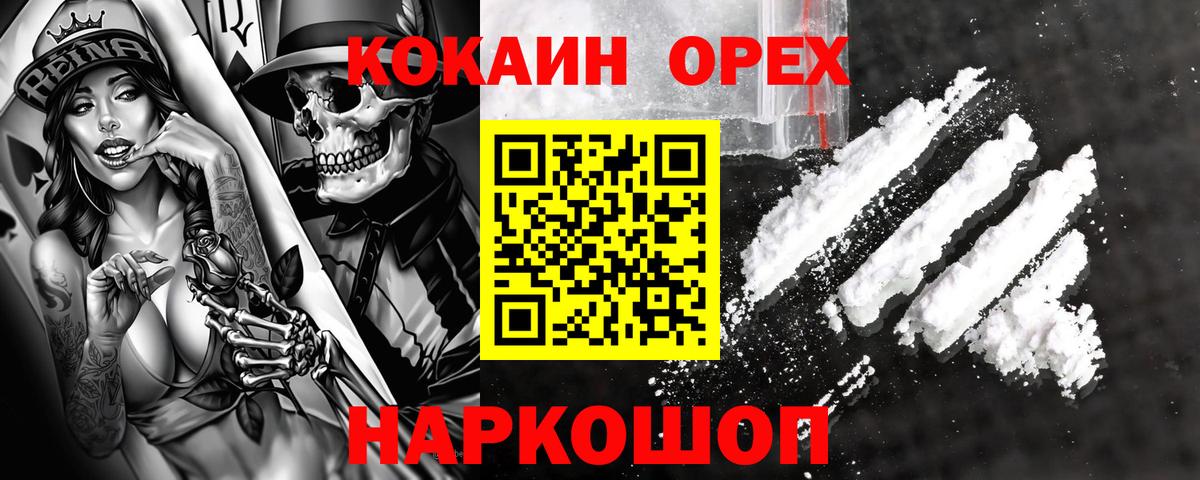 НБОМе Бийск