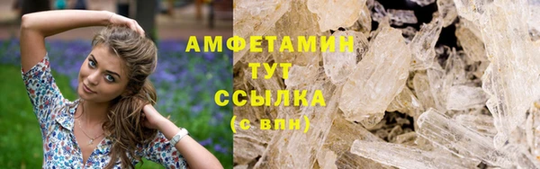 индика Горнозаводск