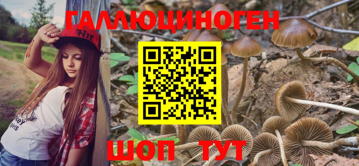Кокаин  Бийск  NBOMe  ГАШ  Меф МЯУ МЯУ   Вход с VPN  Канабис 