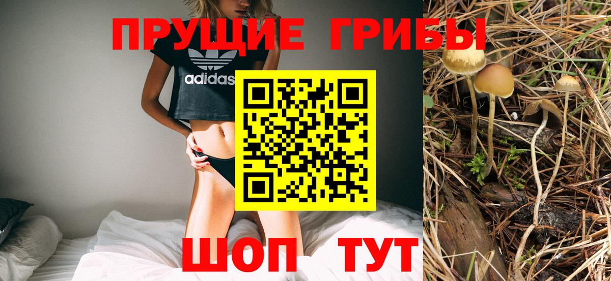 Псилоцибиновые грибы мухоморы Бийск