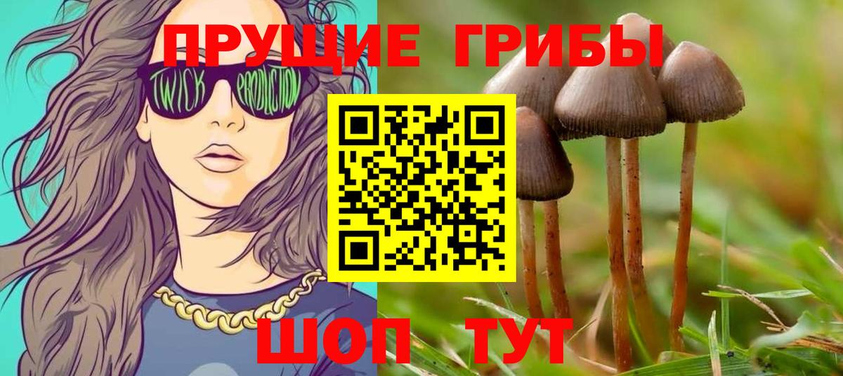 Галлюциногенные грибы Psilocybe  Вход с VPN  где можно купить   Псилоцибиновые грибы GOLDEN TEACHER  Бийск 