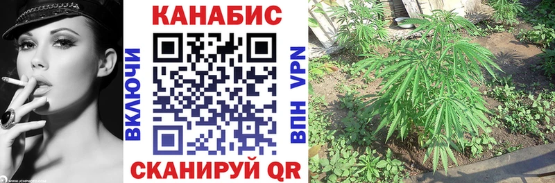 Каннабис план  Бийск 